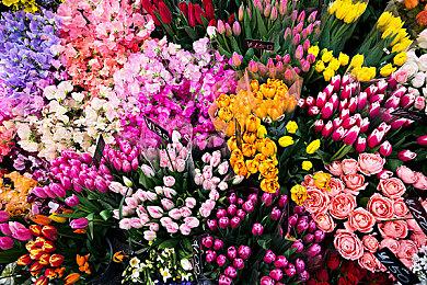 原NS独占RPG《时空勇士》现已登陆PC和PS